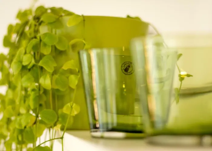 菲尔德霍夫公寓 公寓 *